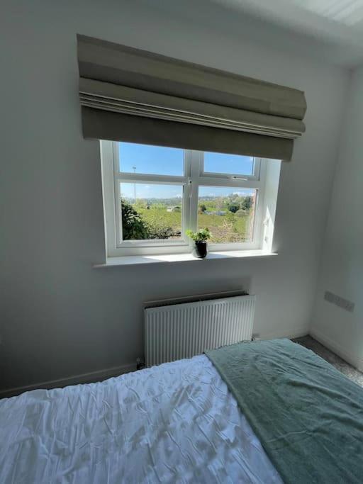 Cashel On The Coast, 3 Bedroom Holiday Home, באליקאסל מראה חיצוני תמונה